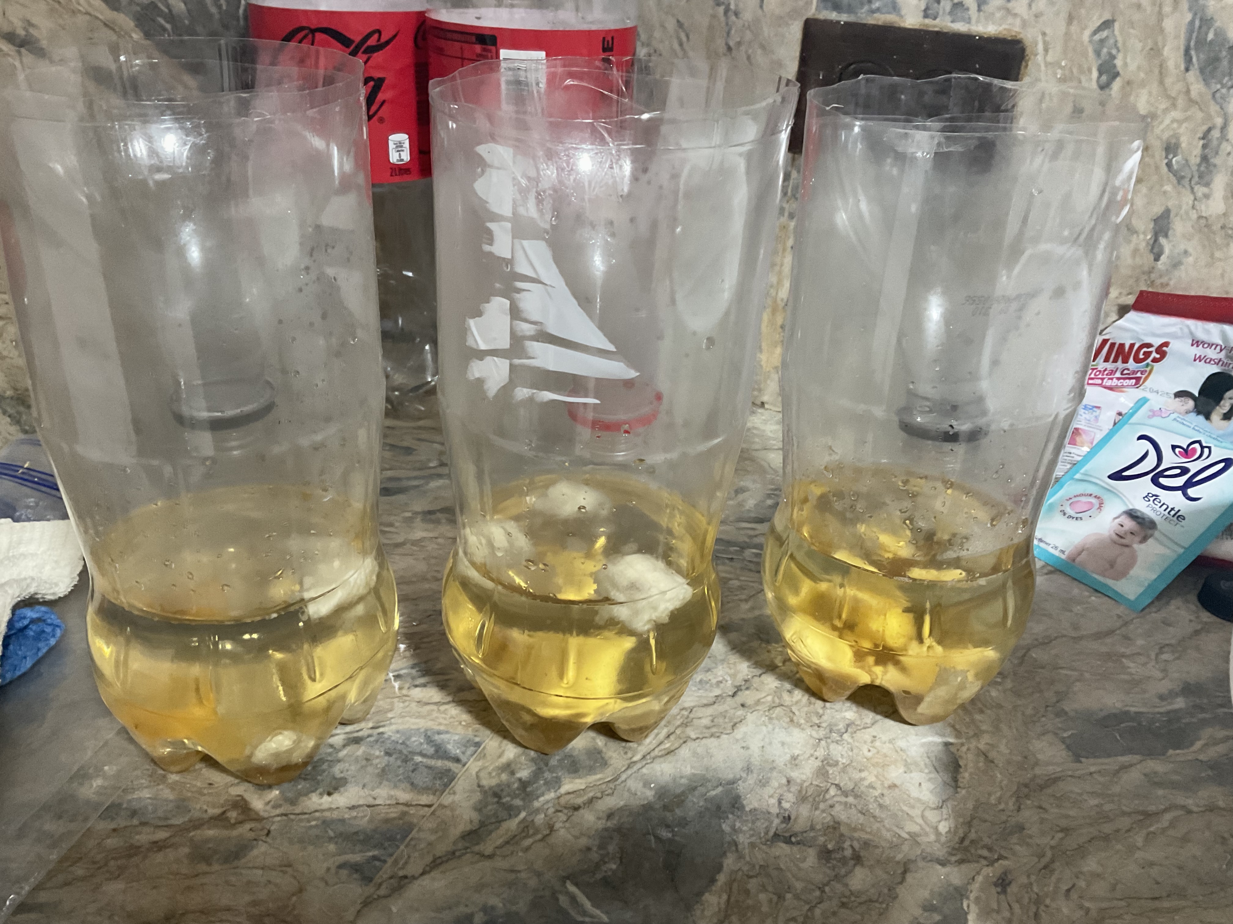 Founder's high school science research project